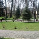 Jastrzębie-Zdrój - University Park - 2009